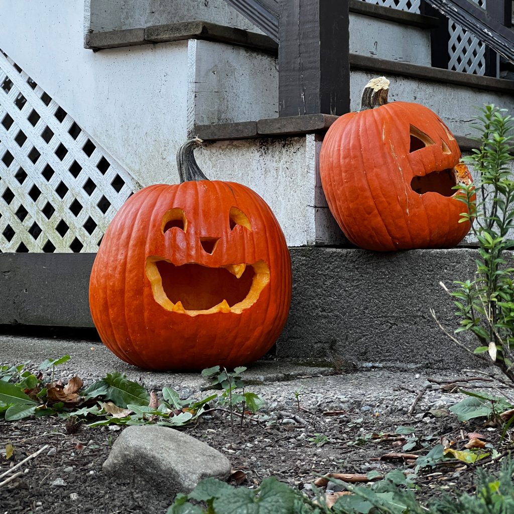 Jack-O-Lantern, Halloween in Boston 2024 | lillian lee