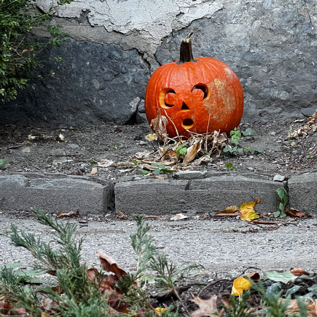 Jack-O-Lantern, Halloween in Boston 2024 | lillian lee