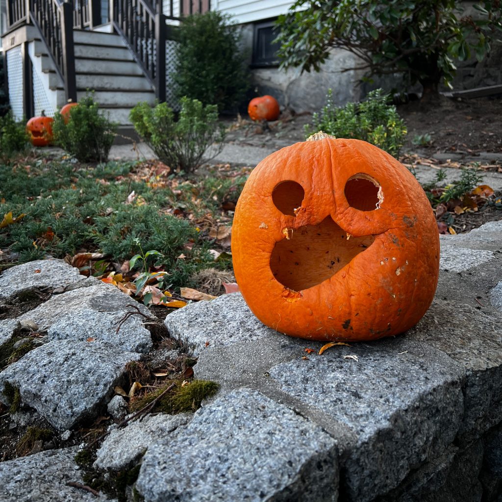 Jack-O-Lantern, Halloween in Boston 2024 | lillian lee