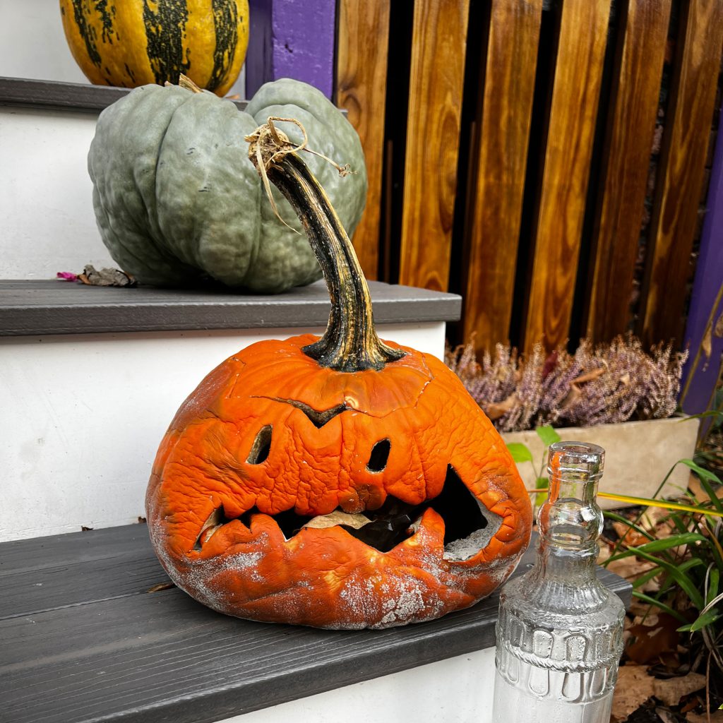 Jack-O-Lantern, Halloween in Boston 2024 | lillian lee